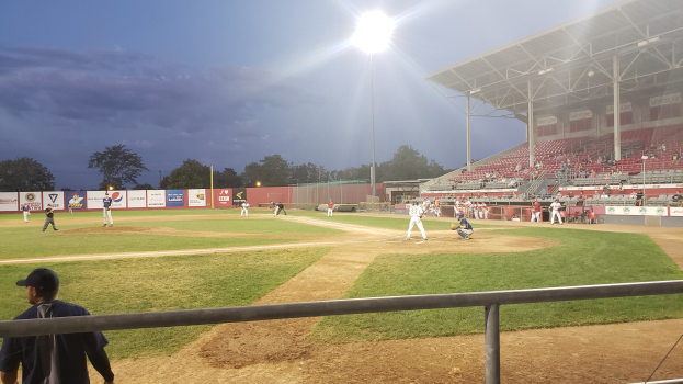 Jahn-Stadion: Stadtrats-Entscheidung stärkt Baseballclub 'Sly Dogs'