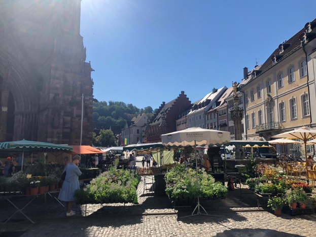 Ein belebter Markt in der Heidelberger Altstadt mit Menschen an und um Tischen mit Blumentöpfen unter Schirmen, vor Häusern, Bäumen und einem klaren blauen Himmel.