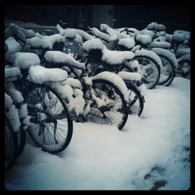 Fahrräder auf schneebedecktem Boden geparkt, jedes teilweise mit Schnee bedeckt.