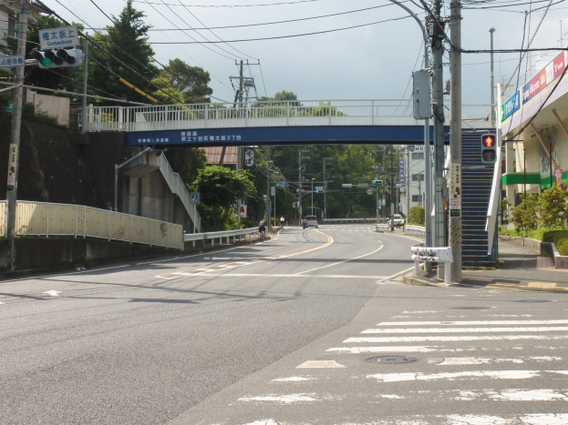Eine städtische Straße mit einer Fußgängerbrücke darüber, Fahrzeuge auf der Straße, Strommasten, Verkehrsampeln, Schilder, Gebäude, Bäume und ein Himmel im Hintergrund.