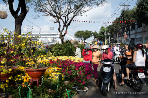 Eine Gruppe von Menschen mit Helmen und Mützen, einige gehen und andere fahren Fahrräder auf einer Straße, mit Pflanzen, einem Blumentopf auf einem Hocker, Bäumen, einem Pfahl, Drähten, einer Lampe, einer Brücke und Gebäuden in der Nähe.