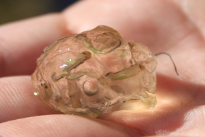 Eine Person hält ein kleines, klares Hörgerät in der Hand, mit einem unscharfen Hintergrund.