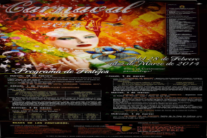 Eine Frau in einem bunten Kleid, die lächelt, umgeben von dem Text "Carnaval Festival 2014" in fetter schwarzer Schrift auf einem leuchtend gelben Hintergrund.