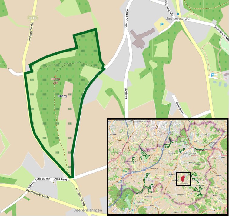 Ein detaillierter Stadtplan mit einem zentralen grünen Bereich, der als geplanter Entwicklungsstandort markiert ist, umgeben von Straßen, Gebäuden und Sehenswürdigkeiten.