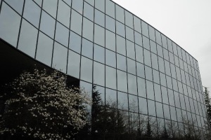 Ein modernes Gebäude mit Glasfront, umgeben von Bäumen, unter einem klaren Himmel.