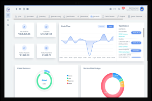 Bildschirm eines Laptops, der ein Finanzmanagement-Dashboard mit Diagrammen und Text auf einem weißen Hintergrund mit einem blauen Kopfbereich anzeigt.