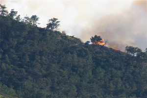 Ein Hügel mit zahlreichen Bäumen, einem Fahrzeug und einem Feuer mit Rauch.