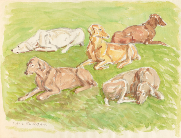 Ein realistisch gemaltes Bild von mehreren Dackeln, die auf einem leuchtend grünen Feld unter einer strahlenden Sonne liegen.