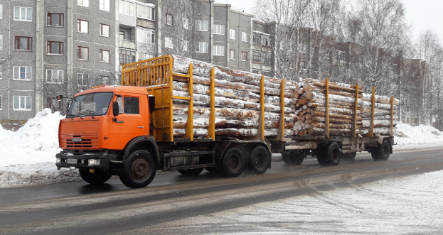 Ein Lastwagen transportiert Holz auf einer schneebedeckten Straße mit Bäumen, Fenstern und einem klaren Himmel im Hintergrund.
